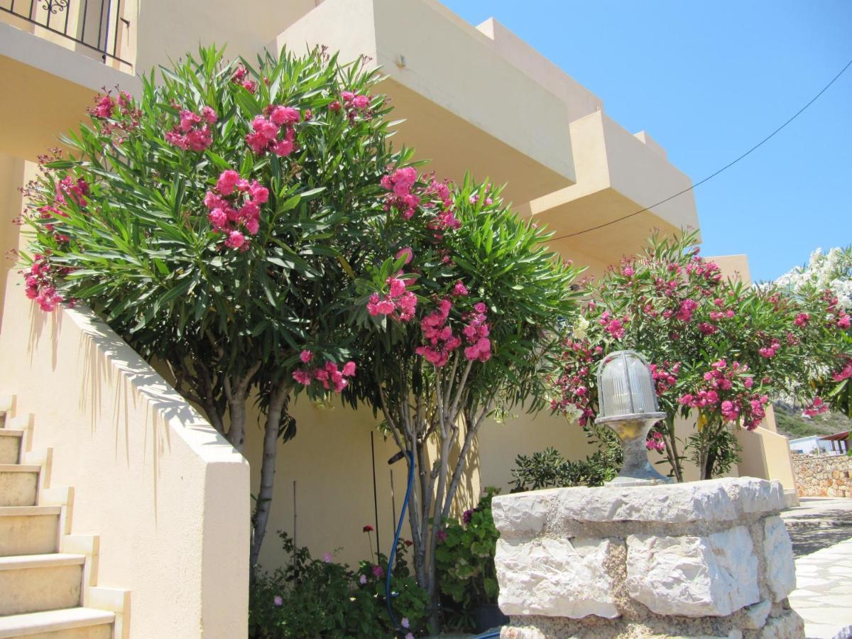 Eugenia Travasarou Sea View Appartments Diakofti Bagian luar foto